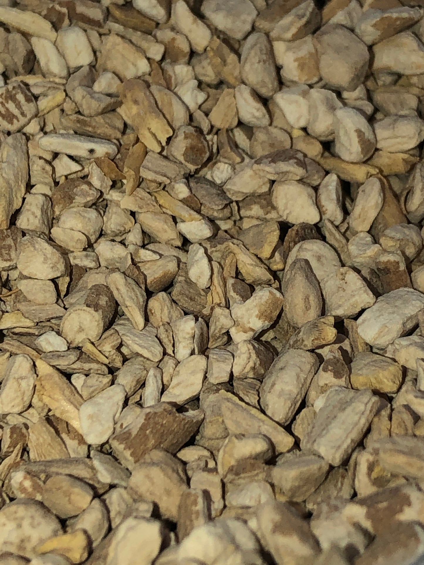 Ashwaghanda Root (Organic)